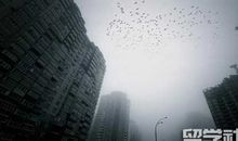 雾霾天气作文600字