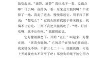 小狗的作文500字