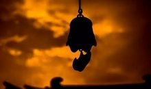 学习做人是一辈子的修行