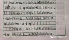 传承雷锋精神作文