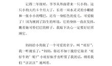 什么真有趣作文400字