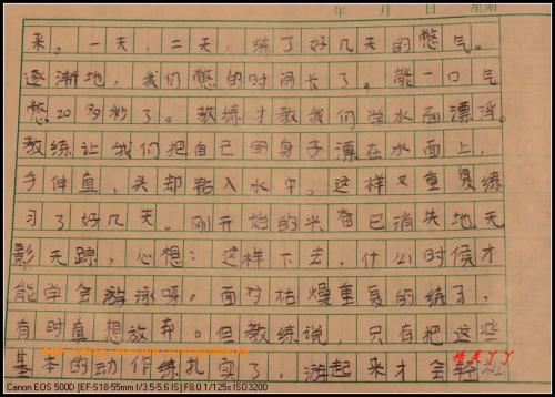学习游泳作文250字