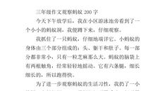 有关蚂蚁的作文