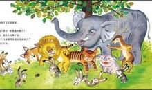 兔子救小袋鼠作文