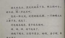 雷阵雨的声音作文