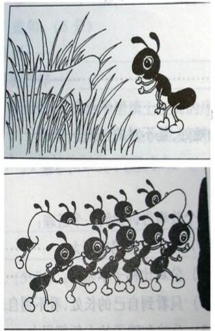 蚂蚁的力量组成