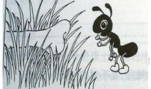 蚂蚁的力量作文