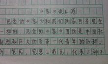 巴金家的读后感