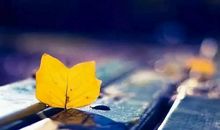 吃亏是一种人生智慧