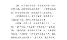 蚂蚁的精神作文