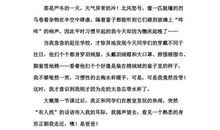 像阳光一样温暖作文