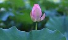 做厚道之人应该把握的基本要素