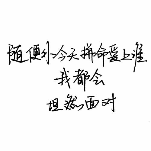 林有嘉经典语录