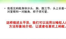 写蚂蚁的作文600字