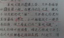 关心别人四年级作文