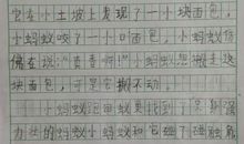 小学生作文蚂蚁