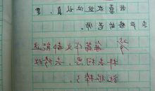 中华传统文化作文