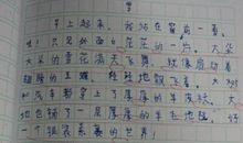 夸夸我的同学400字作文