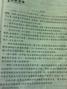 小事见真情作文600字