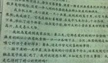 小事见真情作文600字