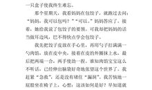 春节包饺子的作文