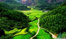 田园风光作文250字