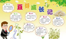 植物的观察日记