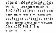 今天是个好日子作文