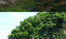 桂林山水的读后感