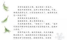 苏菲的杰作读后感