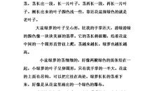 观察日记植物300字