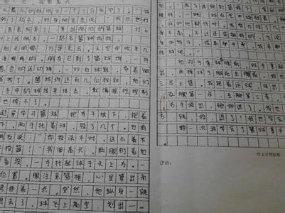 今天我很高兴写500个字