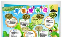 有关观察植物的日记