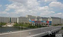 介绍丝绸的作文