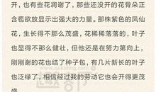 观察植物日记250字