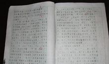 游泳历险记作文