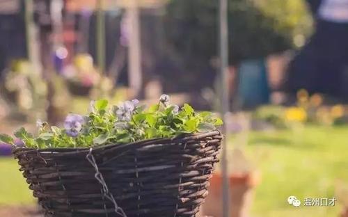 十大口语技巧，会让你迷人