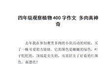 植物观察日记400字