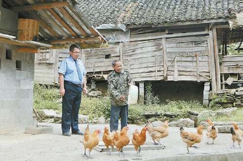 学习雷锋的创作经验和作曲经验