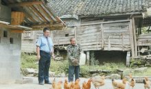 学雷锋心得体会作文