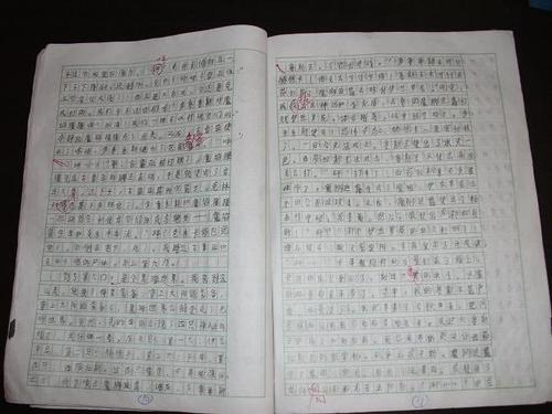 冒险作文400字
