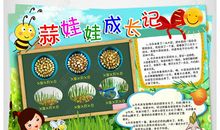 植物生长观察日记