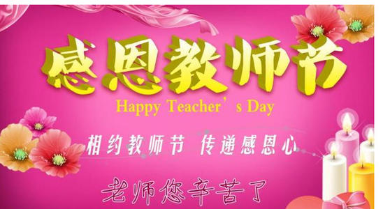 我的中文老师300字