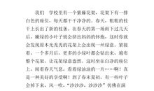 观察植物日记400字