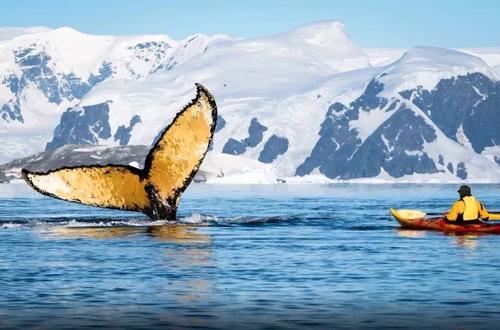 冷淡的浪漫情怀