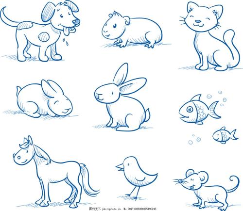 小动物兔小学组成