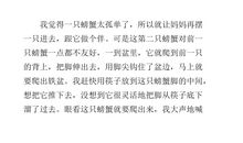 小动物趣事作文