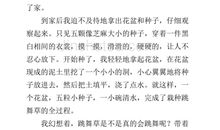 观察植物日记500字