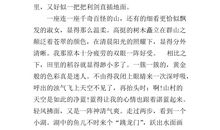 元旦见闻作文400字