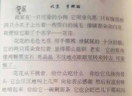 200字写小狗的作文